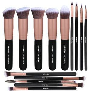 Professional makeup brushes brand new